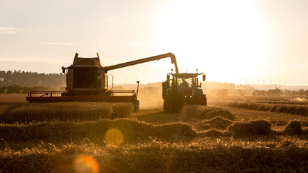 Combine harvester harvesting in summer resized.jpg