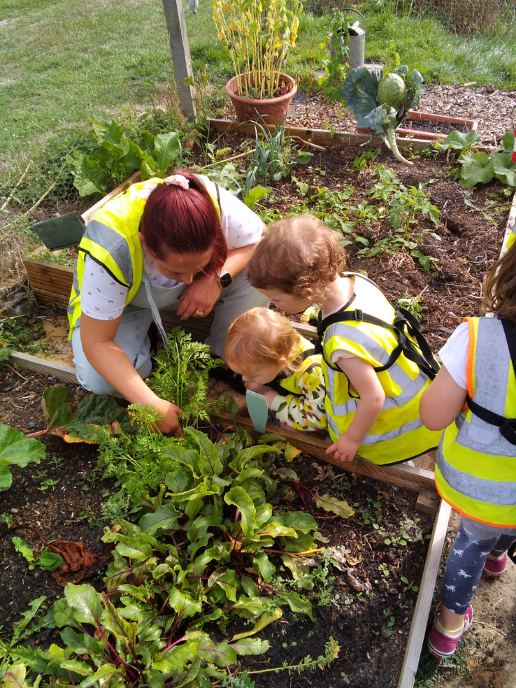 plant-based nursery 1.jpg