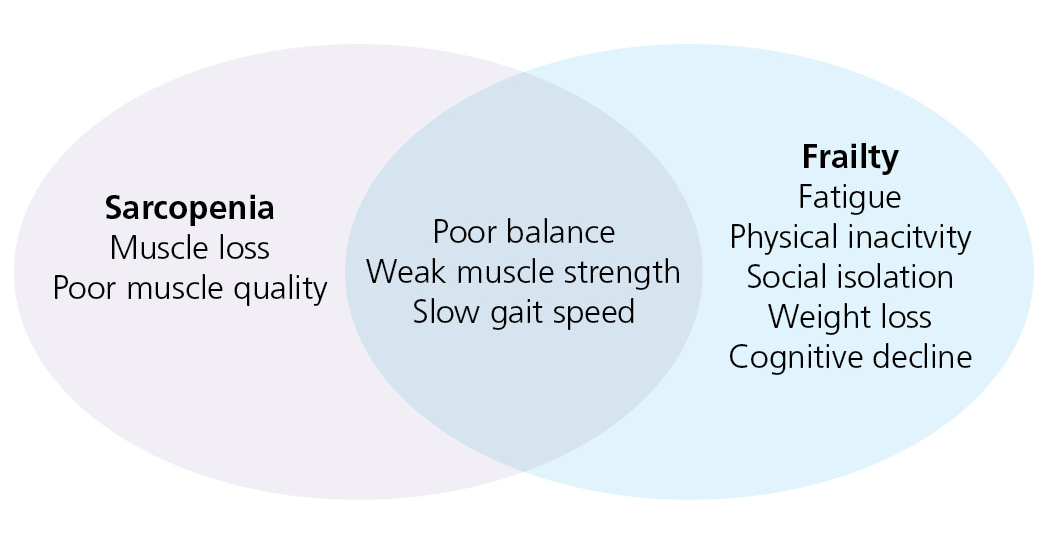 BDA Muscle Health Nutrition + Ageing venn diagram