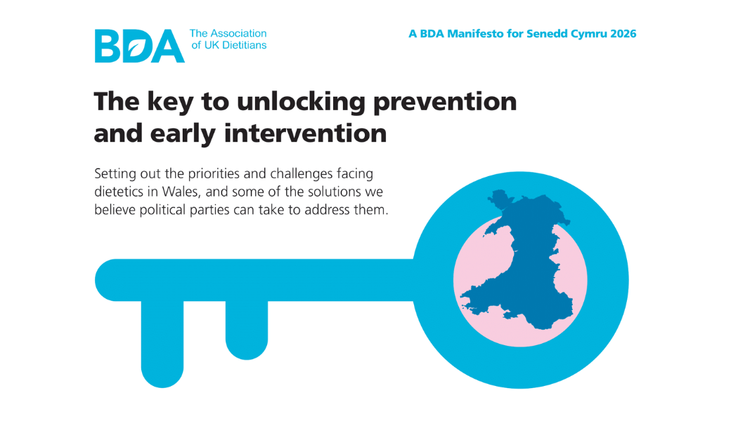 Welsh manifesto 2026