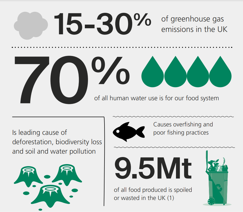 Contributes to 15-30% of greenhouse gas emissions in the UK Is leading cause of deforestation, biodiversity loss and soil and water pollution Accounts for 70% of all human water use Causes overfishing