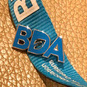 BDA Badge.jpg