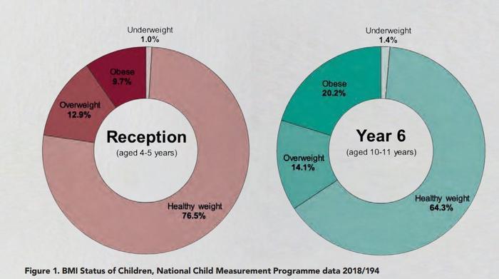 BMI Status of Children, National Child Measurement Programme  DT childhood obesity article.JPG