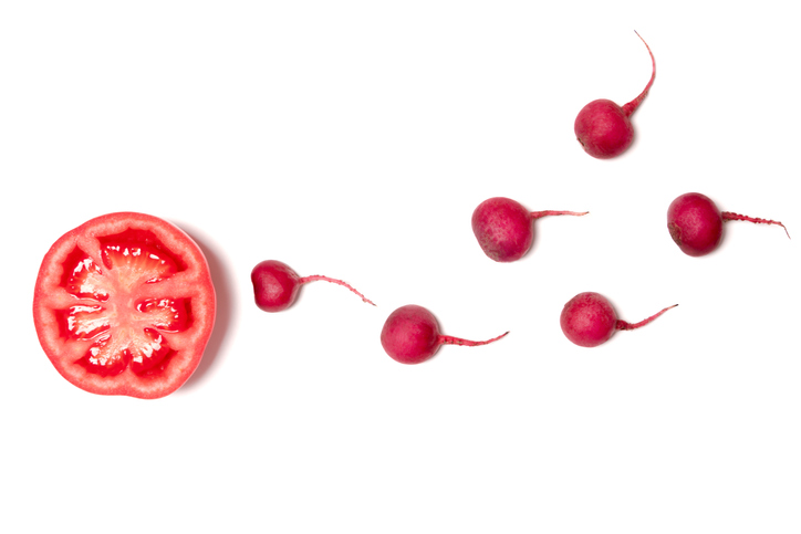 Food fertility tomato radishes