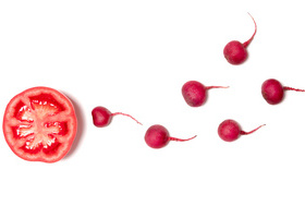 Food fertility tomato radishes