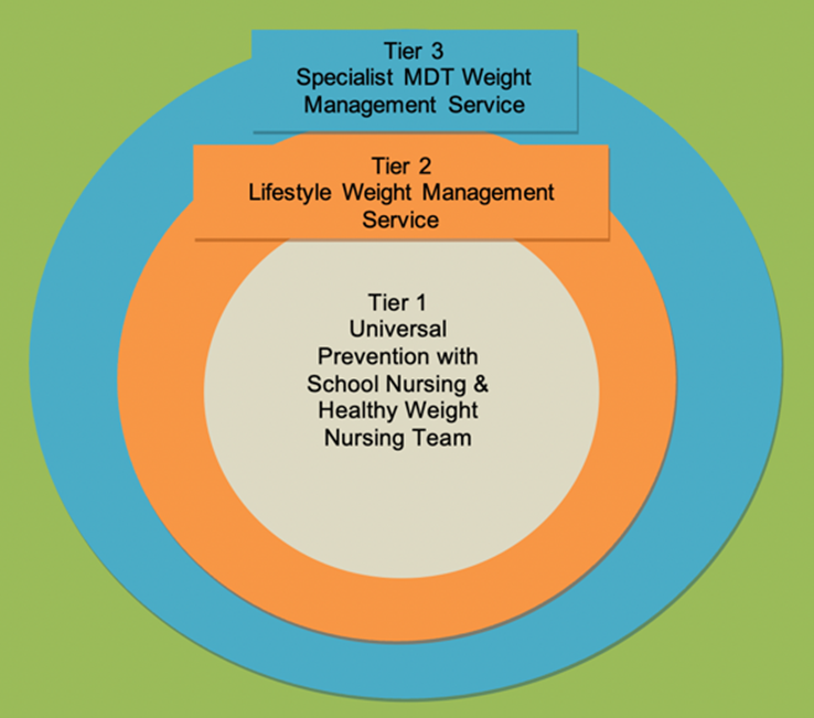 Paediatric toolkit tier graphic.png