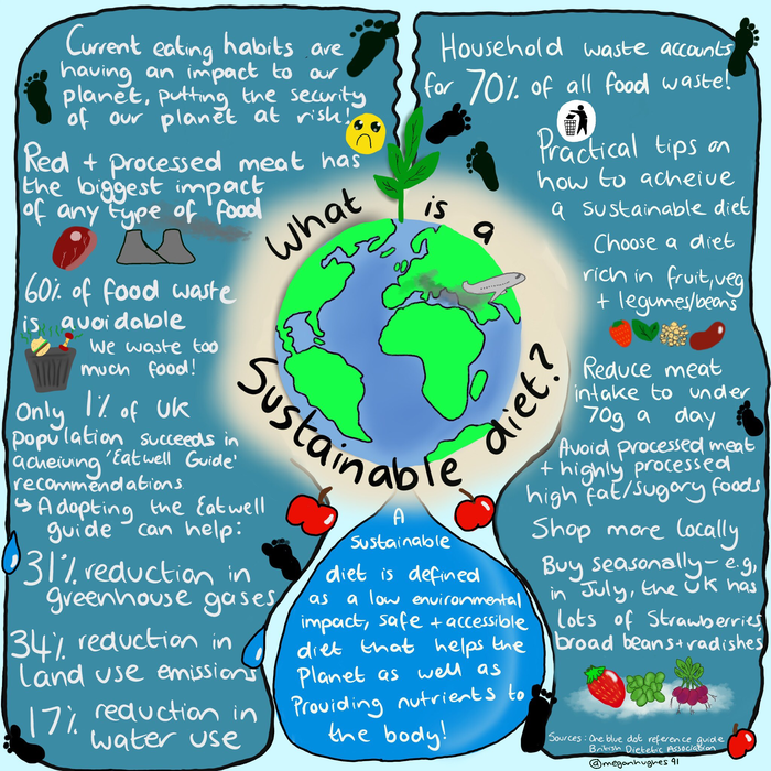 OBD Sustainable Diets Specialist Group Infographic 1.png
