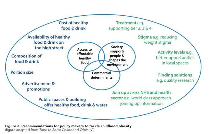 Recommendations for policy makers to tackle childhood obesity  DT childhood obesity article.JPG