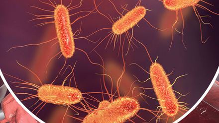 gut_bacteria.jpg