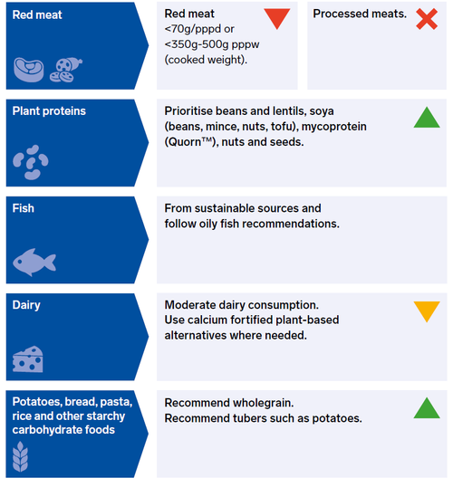 Sustainable recs image 1