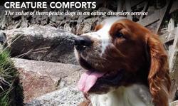 creature comforts DT article dog.JPG