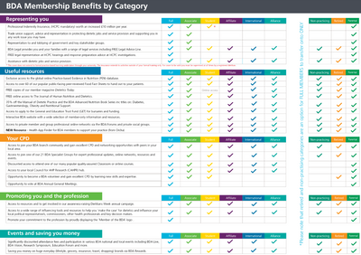 BDA Benefits by Member Category 2021.png