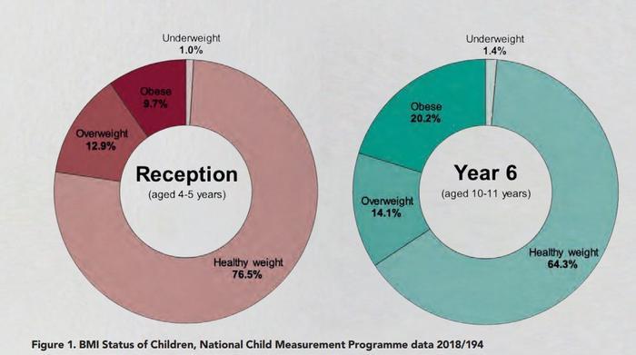 Overweight And Obesity In Teens